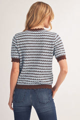 Jodifl Zig-Zag Pattern Lightweight Sweater Top in Brown/Blue