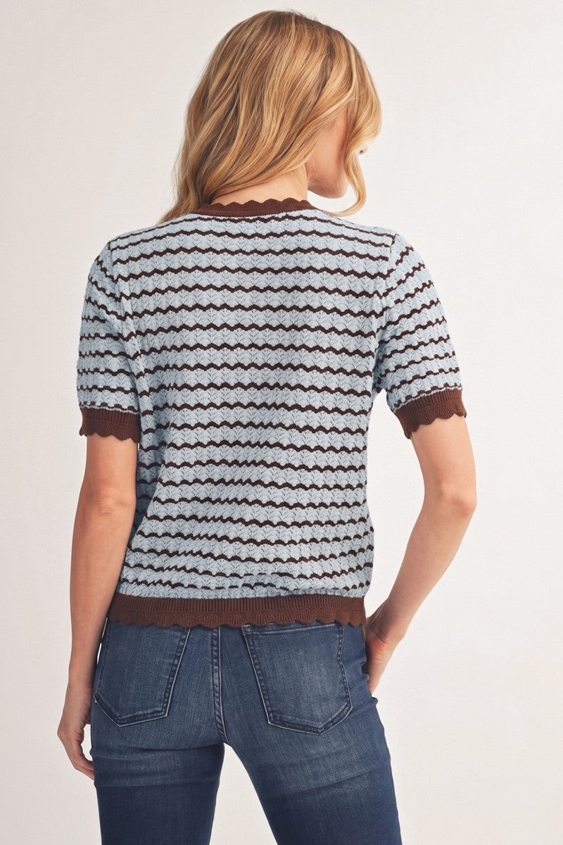 Jodifl Zig-Zag Pattern Lightweight Sweater Top in Brown/Blue